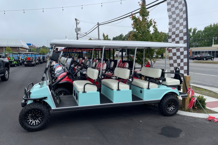 Row of blue golf carts parked by a road.