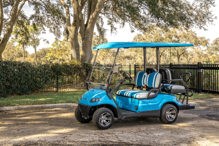 Blue golf cart parked on a dirt path near trees and a fence.